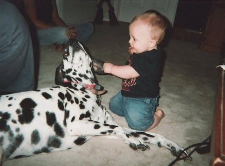 Gatos, perros y eccemas en la infancia