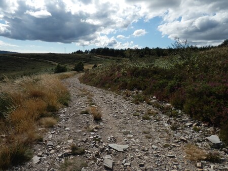 Camino De Santiago Baleira